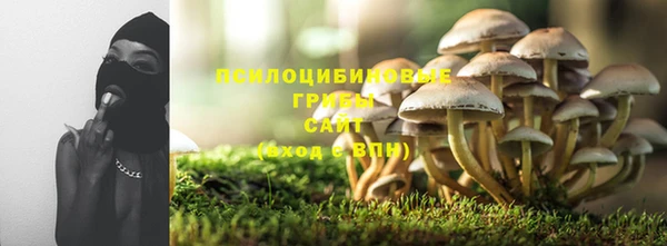 амф Абаза