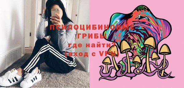 амф Абаза