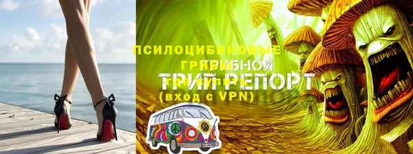 амф Абаза
