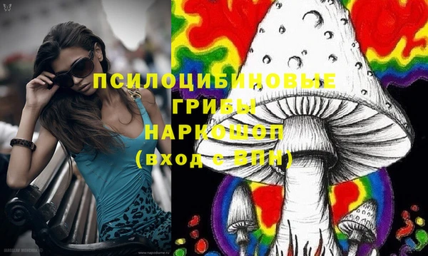 амф Абаза